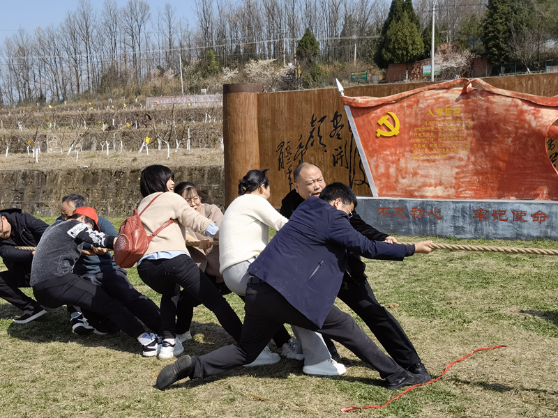 图片3_副本.png