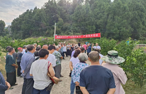 截图录屏_选择区域_20240929113203.png