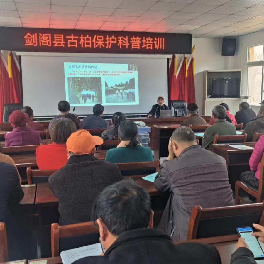 图片19.png