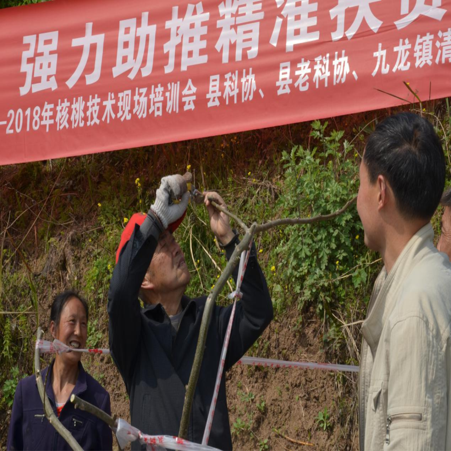 D:\我的资料\桌面\wcx2.jpg