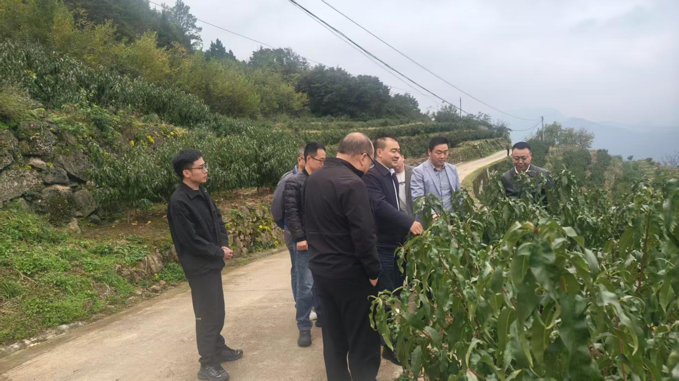 市科协深入唐家村开展乡村振兴帮扶