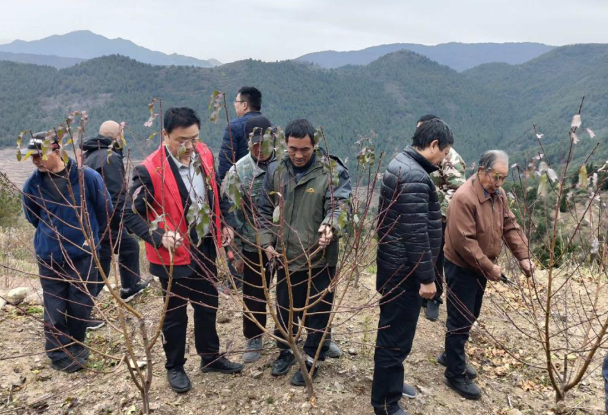 广元市科协天府科技云服务典型案例（二）保姆服务架“科技桥” 集体产业孕“振兴果”