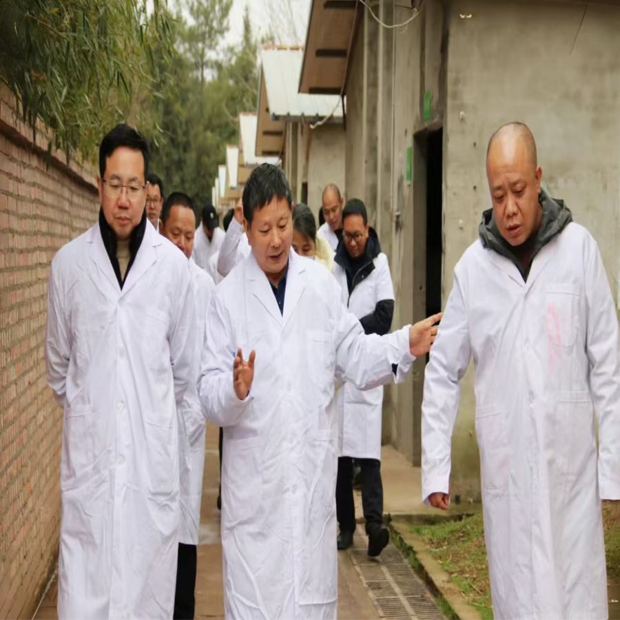 图片1.png