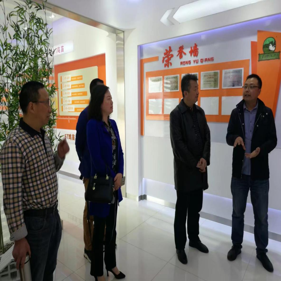 D:我的资料桌面dy1.jpg